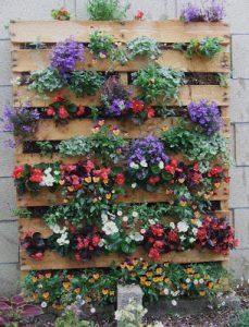 Como fazer um jardim vertical com pallet